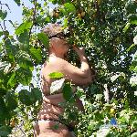 TINAMILFXXY stripchat livecam show performer room profile