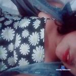 anyecort stripchat livecam show performer room profile