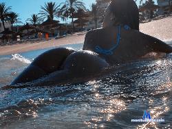 ibizababy stripchat livecam performer profile
