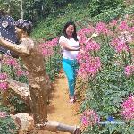 jelyn87 stripchat livecam show performer room profile