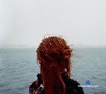 SHy_Fox stripchat livecam show performer room profile