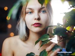 Casey_Brie stripchat livecam performer profile