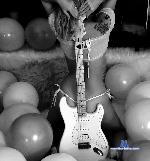 naughtyniki stripchat livecam show performer room profile