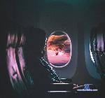 Horny_Alle stripchat livecam show performer room profile