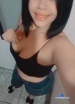 sharon_latina1 stripchat livecam show performer room profile