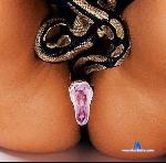 lissie_li stripchat livecam show performer room profile