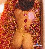 MinisAnny stripchat livecam show performer room profile