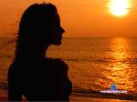 Sunny_Susanna stripchat livecam show performer room profile