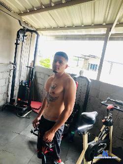 Apollo_Grey stripchat livecam performer profile