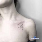 no_limits_sex stripchat livecam show performer room profile