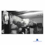 fernandaaxxx stripchat livecam show performer room profile