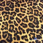 misskalyda stripchat livecam show performer room profile