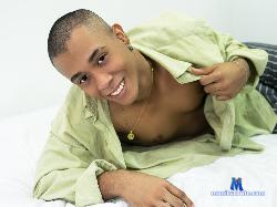AndyPalace stripchat livecam performer profile