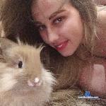 GirLromFox stripchat livecam show performer room profile