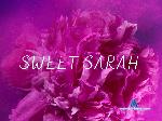SweetSarah_18 stripchat livecam show performer room profile
