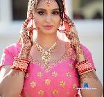 indian_work_group stripchat livecam show performer room profile