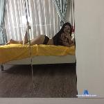 sae_jin stripchat livecam show performer room profile