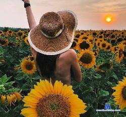 SofieMars stripchat livecam performer profile