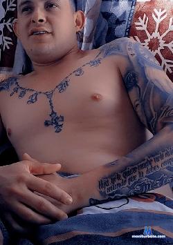 hamsel_gretell stripchat livecam performer profile