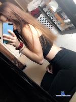 QueenBeeBee stripchat livecam show performer room profile