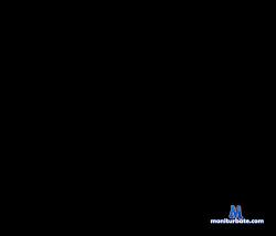 LayraPirs stripchat livecam performer profile
