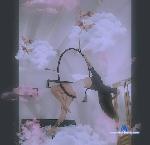 Joanne_evans1 stripchat livecam show performer room profile