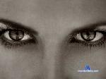 emily_capri stripchat livecam show performer room profile