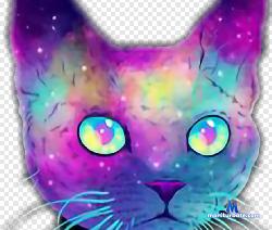 abril_caceres stripchat livecam performer profile