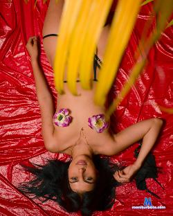 SeriousFucking stripchat livecam performer profile