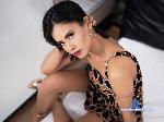 PamiBeckett stripchat livecam show performer room profile