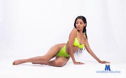 stargal1 stripchat livecam performer profile