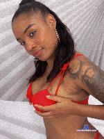 michelleevanss stripchat livecam show performer room profile