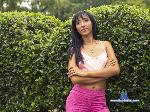 Karlie_Pink stripchat livecam show performer room profile