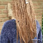 WellaCarnaval stripchat livecam show performer room profile