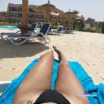 Ladylike_r stripchat livecam show performer room profile