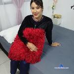 VanesaHot24 stripchat livecam show performer room profile