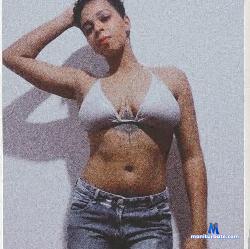 anne_collins stripchat livecam performer profile