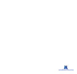 perfect_waifu stripchat livecam performer profile