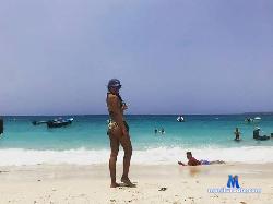 ASHLY_WOLF stripchat livecam performer profile