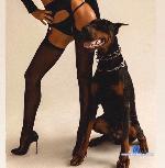 kitty_angel stripchat livecam show performer room profile