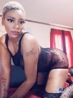 TashaLuv stripchat livecam show performer room profile