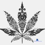 Sinsexxx69 stripchat livecam show performer room profile