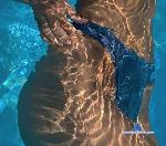 stellalady_00 stripchat livecam show performer room profile