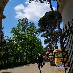 Jesicalust1 stripchat livecam show performer room profile