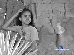 Allane_hot stripchat livecam show performer room profile