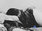 Wildlight stripchat livecam show performer room profile