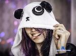 _lazy_tanuki_ stripchat livecam show performer room profile