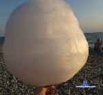 Edelweiss2021 stripchat livecam show performer room profile