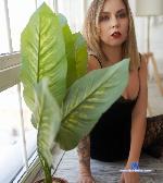 PamelaFulton stripchat livecam show performer room profile