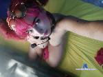 _Celestte_ stripchat livecam show performer room profile